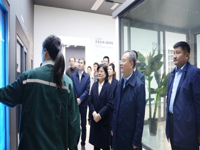 省工信厅总工程师、二级巡视员孙京军一行 莅临卓越精工调研指导