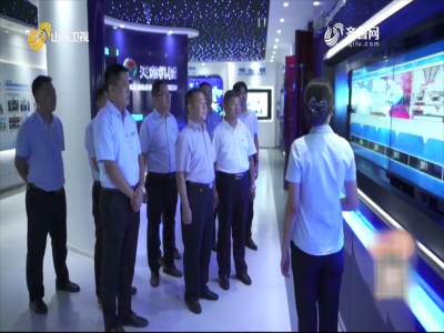 省派民营企业高质量发展服务队助推优发国际发展